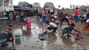Viral Video: बिहार में सड़क पर मछली लूटने की मची होड़, बाल्टी-बोरी लेकर पहुंचे लोग